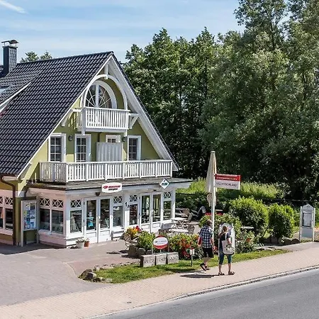 Apartamento Mädesüß 01 Ahrenshoop